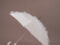 White Bridal Umbrella with embroidery